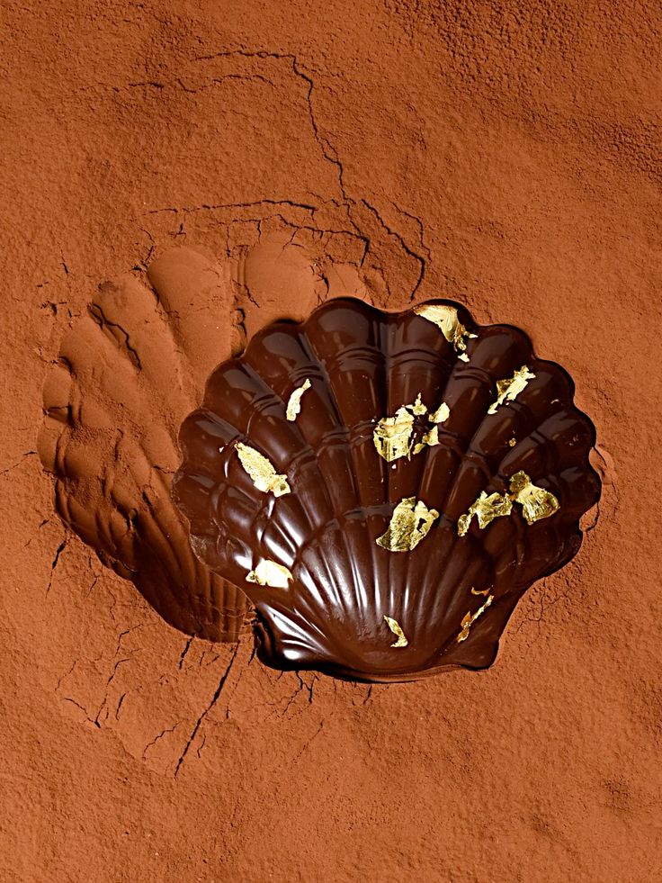 Vous rêvez d’un chocolat maison brillant comme en boutique ?