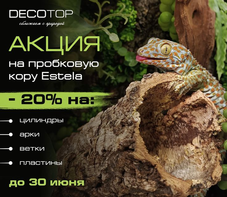 Спешим порадовать вас новой акцией! Скидка 20% на все разнов