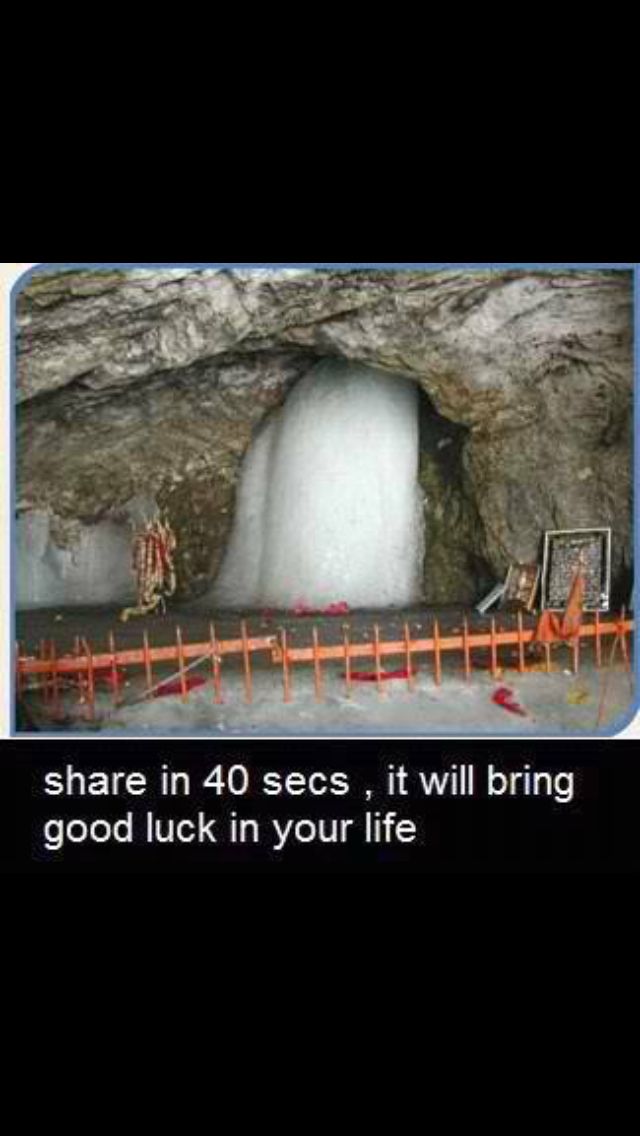 What is this