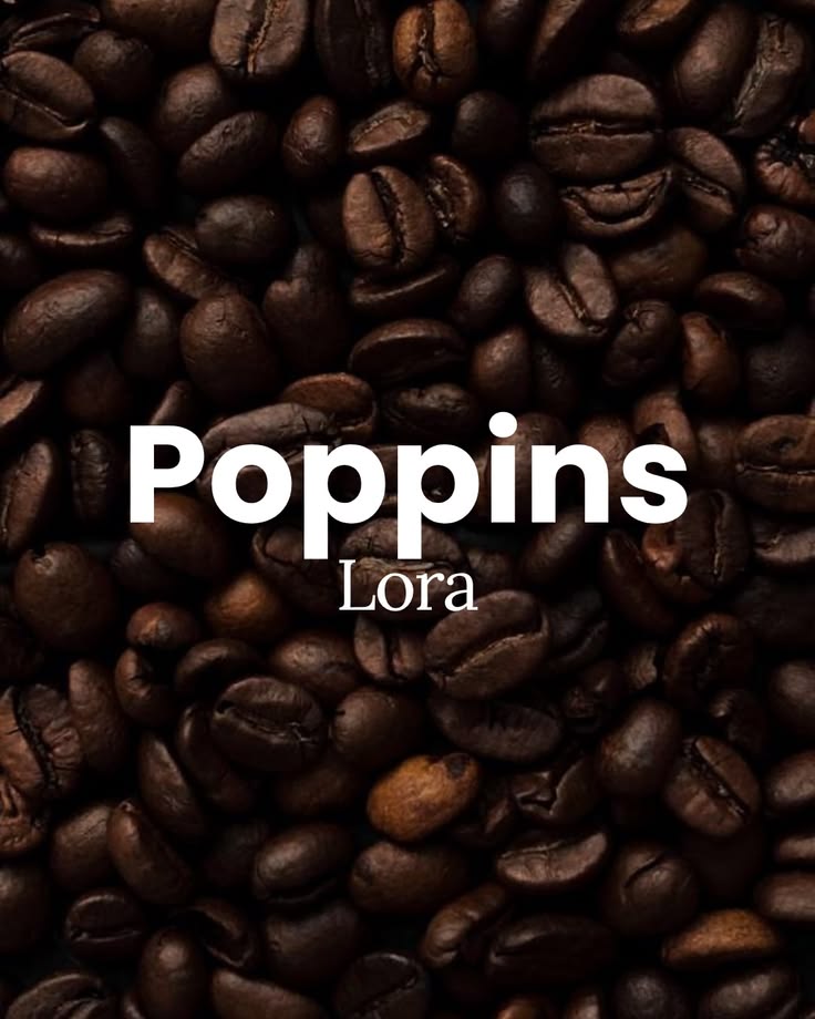 Struggling to pair fonts together? 👀

Here are some Canva fo