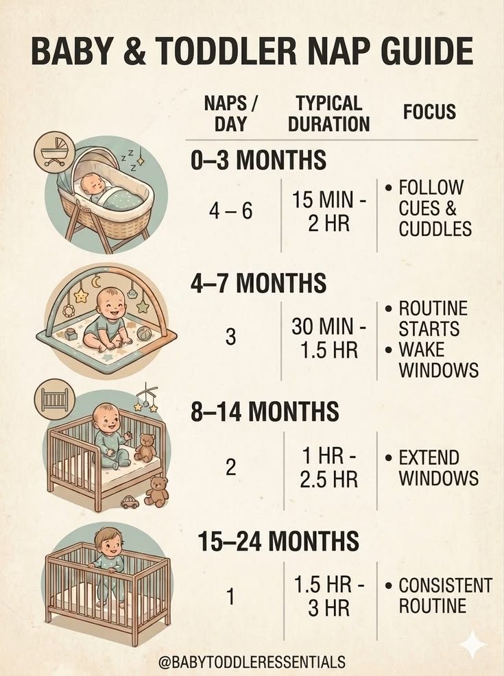 Struggling with baby nap times? 🍼 This ultimate Baby & Toddl
