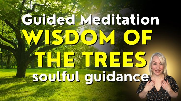 Guided Nature Meditation 🌳🌲 Receive Wisdom & Insight from th