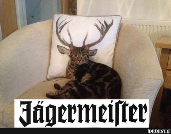 Jägermeister..