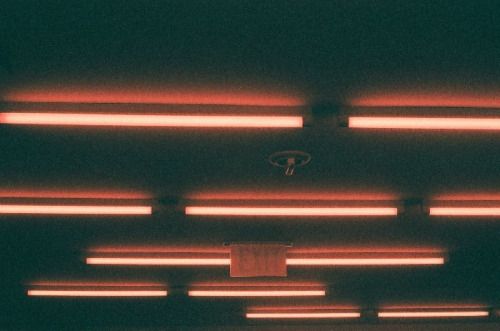 Final week of redscale film photography month.