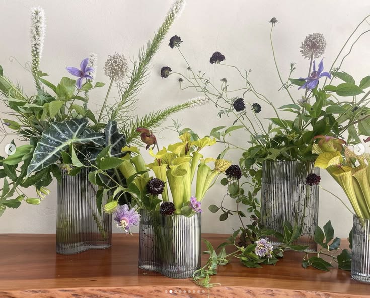 serracinnia austin florist