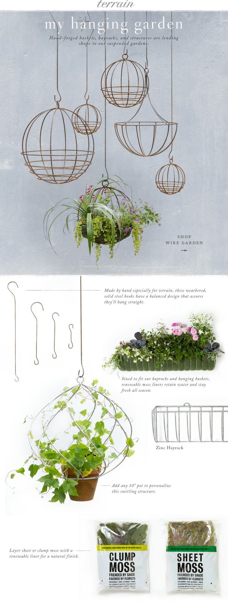 Invite Nature In With 31 Incredible Indoor Plant Ideas