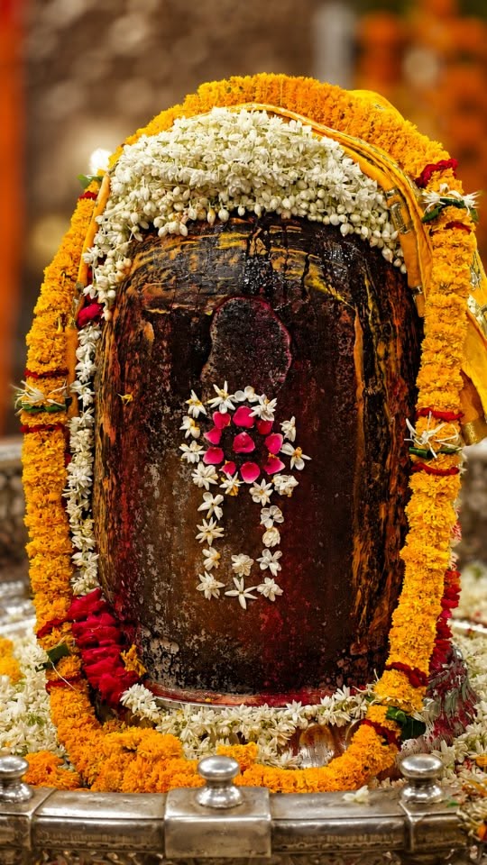 भोग आरती श्रृंगार दर्शन🙏🏻🙏🏻🌹🌹