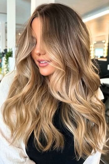 Brown-To-Blonde Highlights hairstyle on a woman with long br