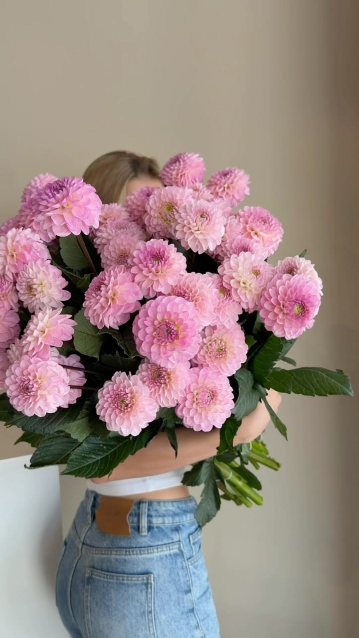 Can’t take our eyes off them🌸
Fresh-cut dahlias, just arrive