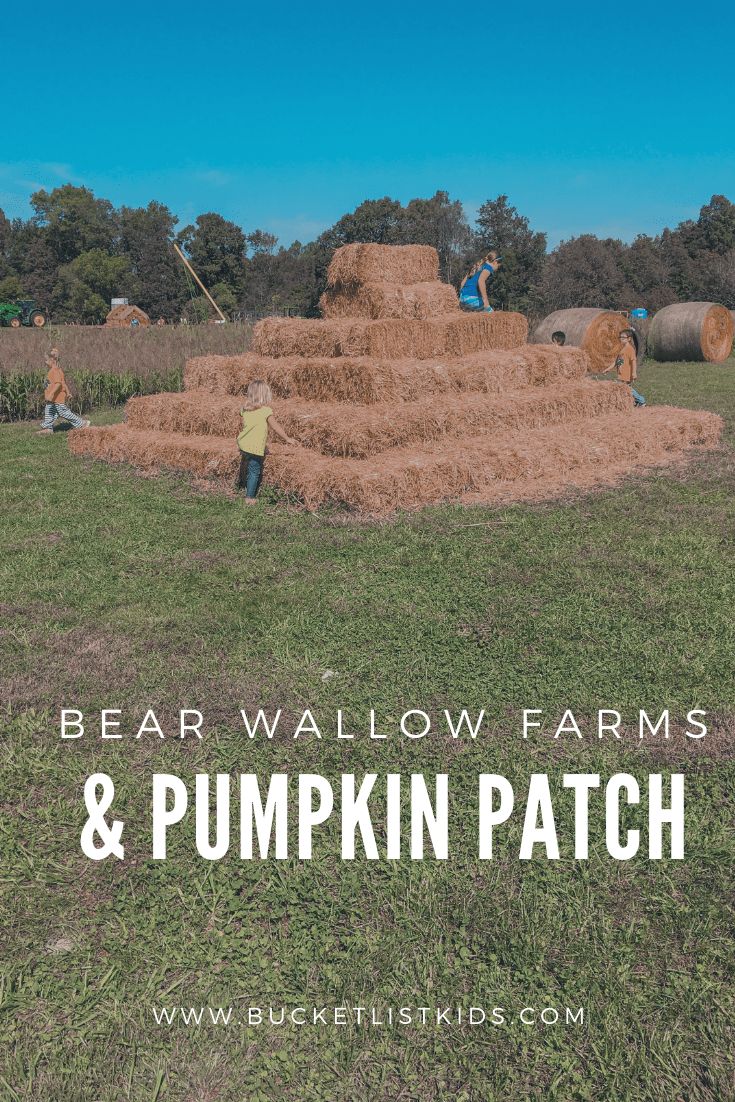 Spend a fun packed day at the pumpkin patch! | Bear Wallow F