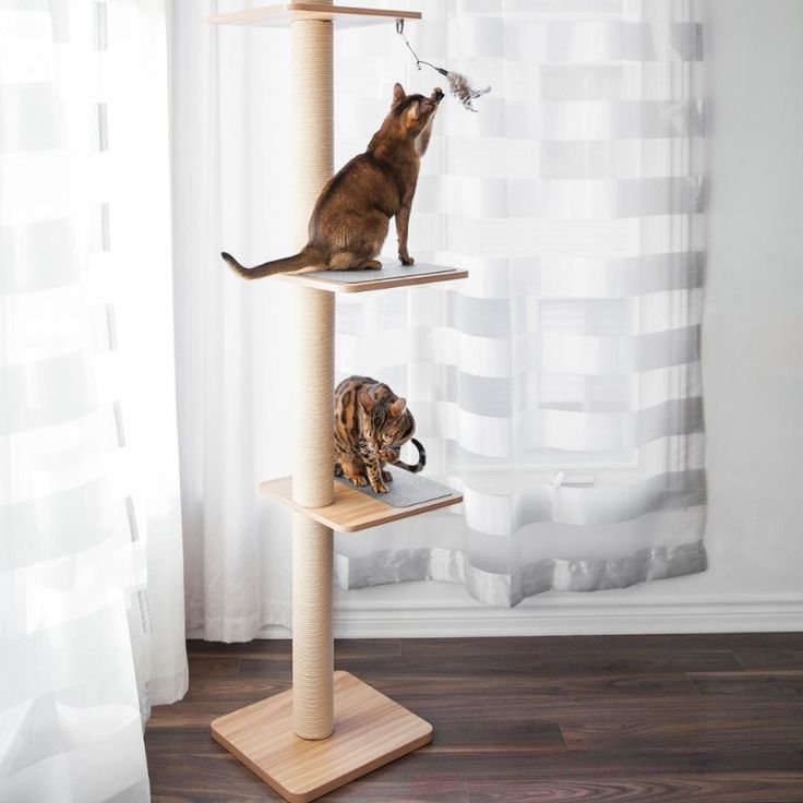 BeOneBreed Katt3Evo Tower uitkijktoren voor kat krabpaal tot