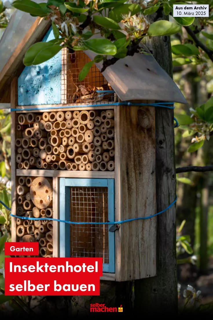 Wildbienen, Falter und andere Insekten spielen als Bestäuber