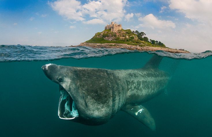 Ocean photography - Google Search