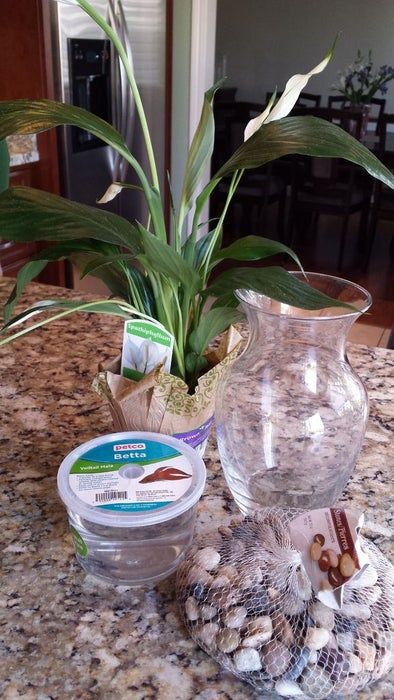 $8 Betta Fish & Flower Vase: 4 Steps