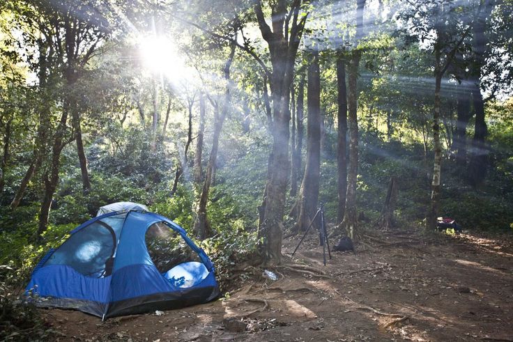 Camping for the first time with toddlers? Check out our tips