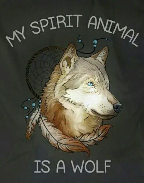My favourite animal is the Fox but apparently, according to 