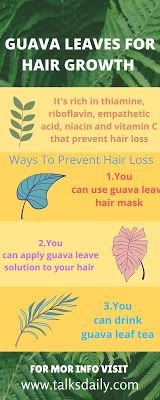 guava leaves for hair