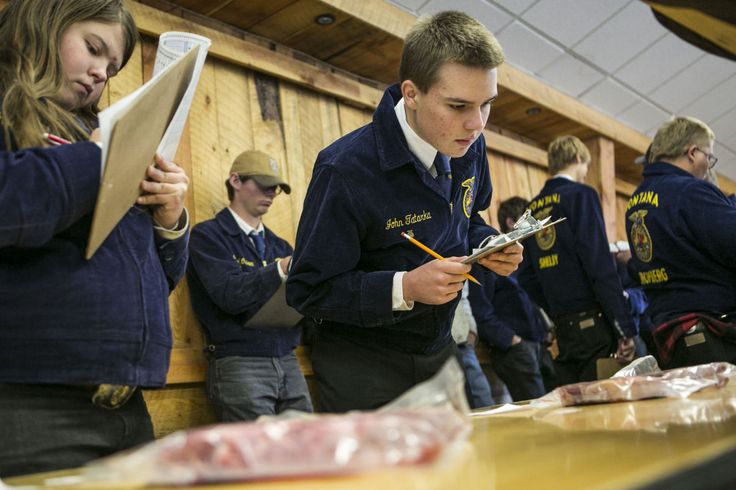 FFA Expo draws 1,200 farm and ranch kids to Bozeman