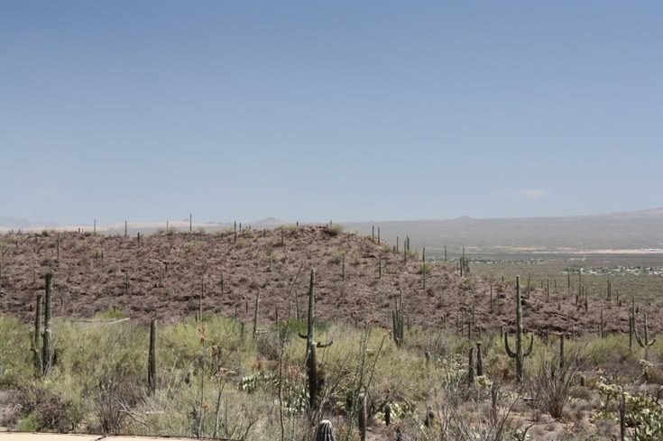 View from the Arizona-Sonora Desert Museum, Becca Ludlum, bl