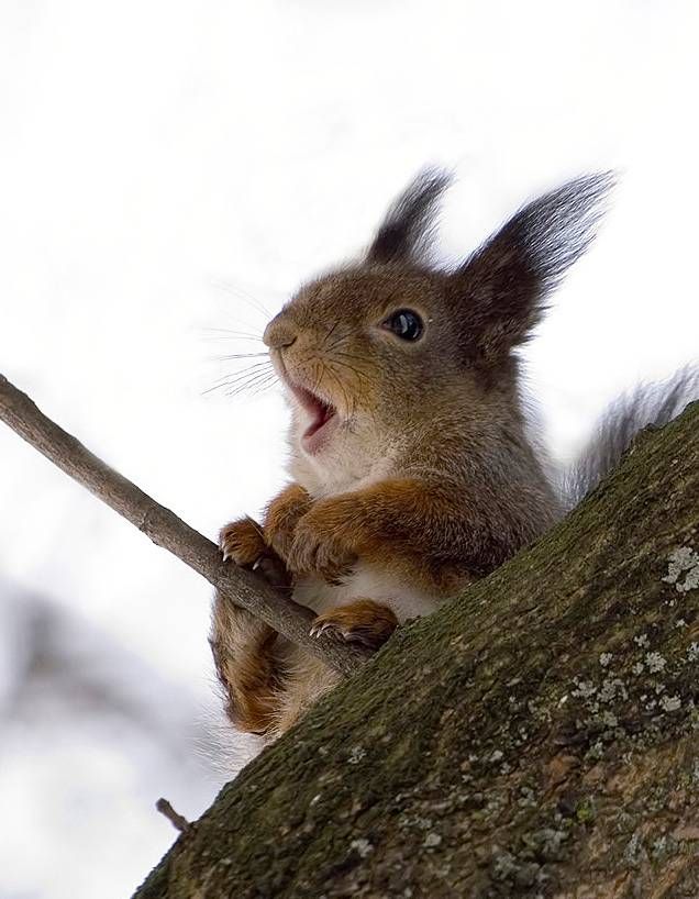 CUUUUTE