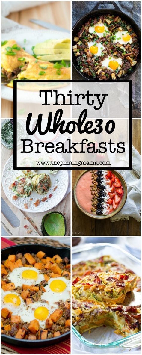 Tons of variety and ideas for an EXCITING breakfast! Not jus
