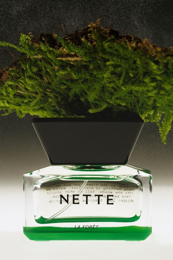 Our fresh and modern woodsy fragrance, La Forêt, is back wit
