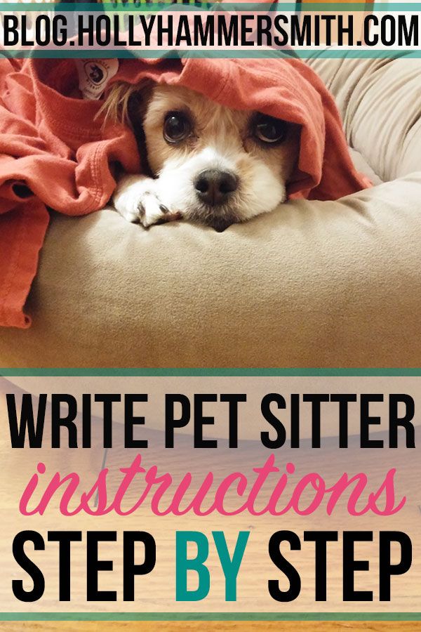Pet Sitter Instructions: Tips for writing pet sitter instruc