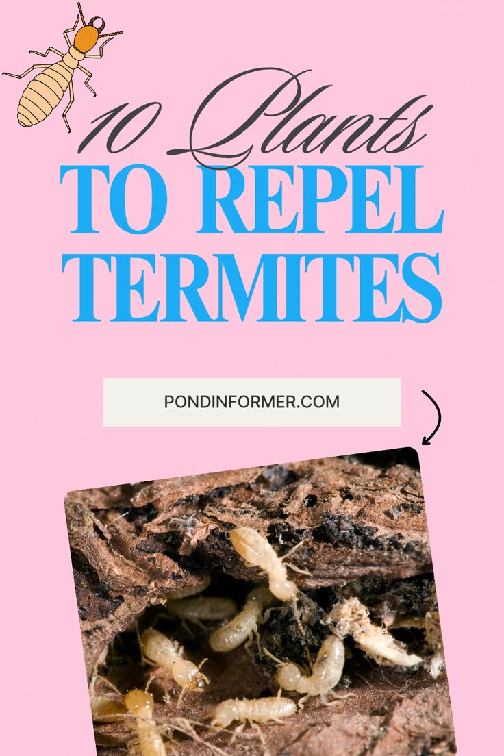 Discover natural ways to make your garden less inviting to t