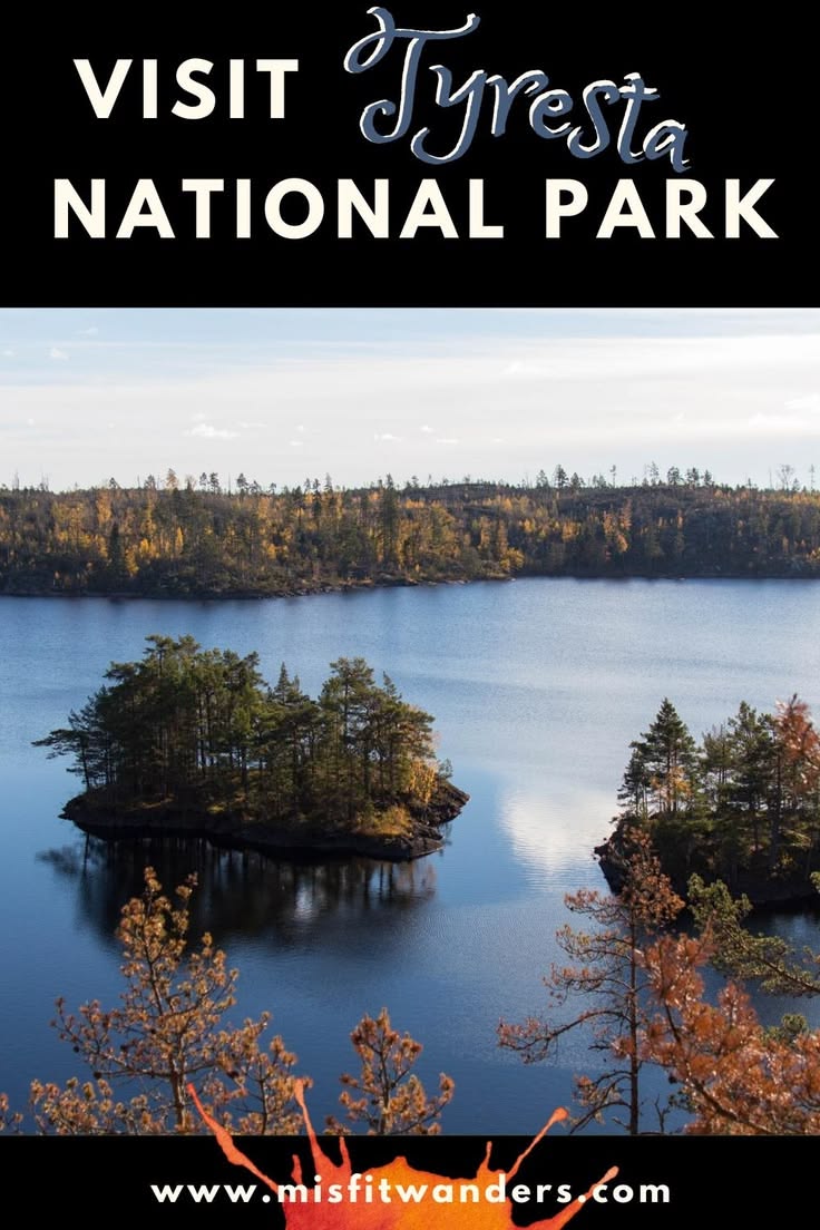 Tyresta National Park has ancient forests that are amazing. 