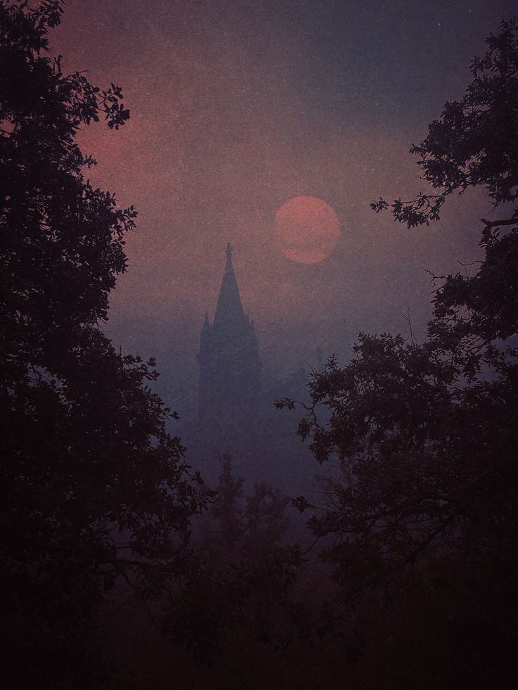 Nona Limmen | Slowly, the veil of night thickens.. Dreamy wo