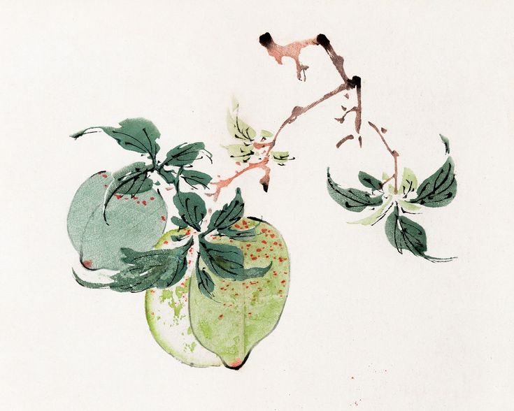 Page from Shi Zhu Zhai (1644–1911) print in high resolution 