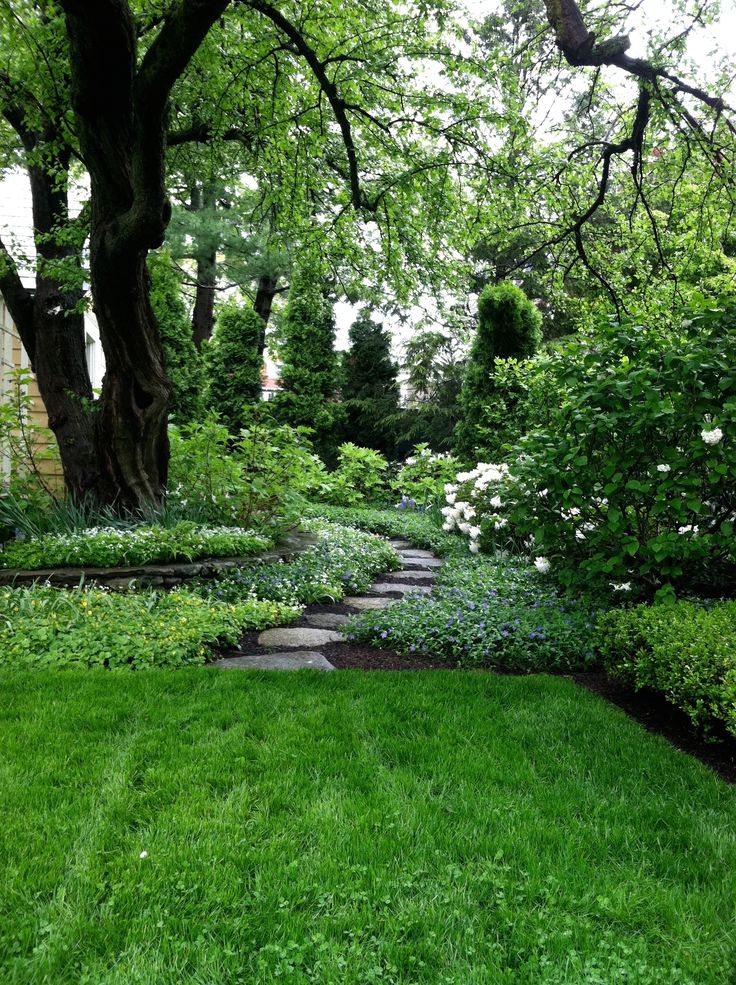 A perfectly manicured garden.