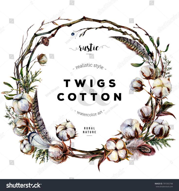 Watercolor Wreath made of Cotton Plant Bolls, Dry Twigs, Mis