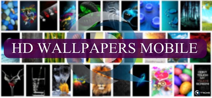 Free download hd wallpapers for android with 3D & 4K quality