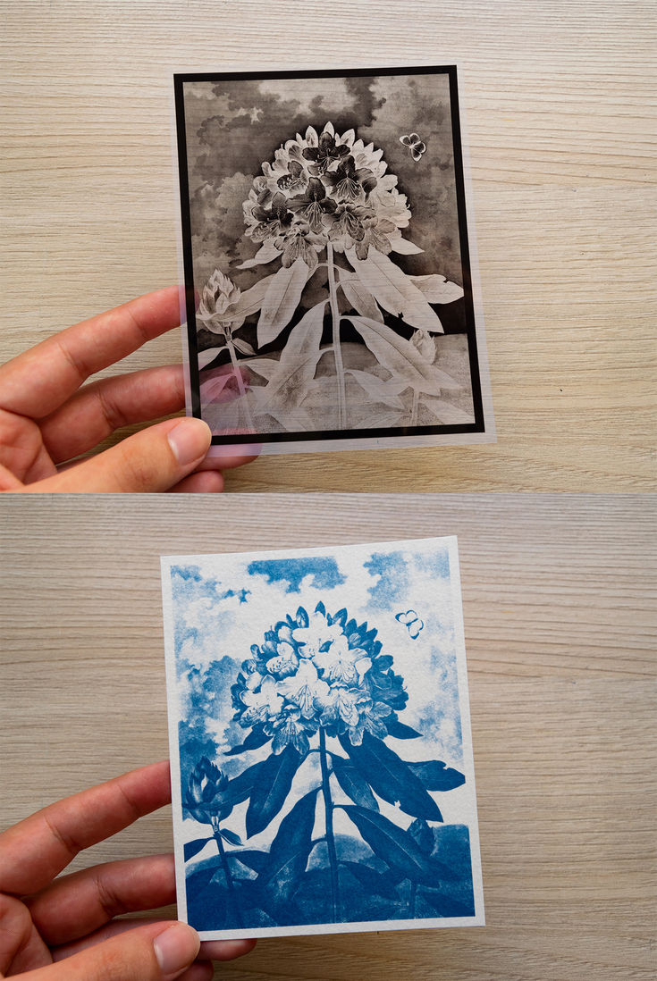#cyanotype #crafts #papercrafts #handmade #blueprint #cianot