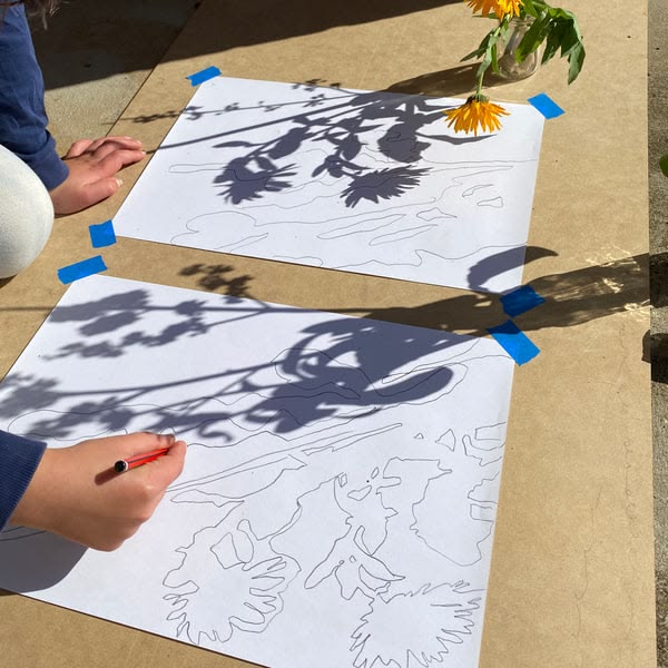 SHADOW DRAWING - Mini Mad Things