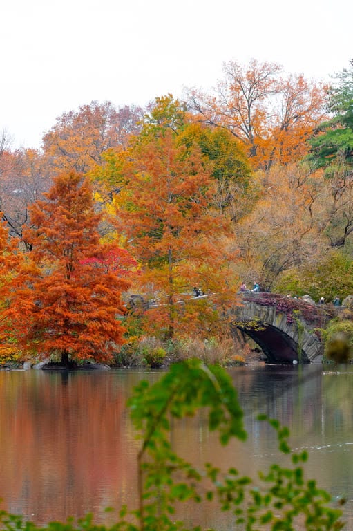 Scenic fall foliage reflecting across a tranquil park pond f