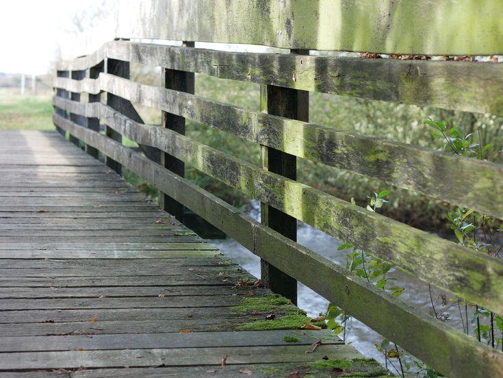 Holzbrücke