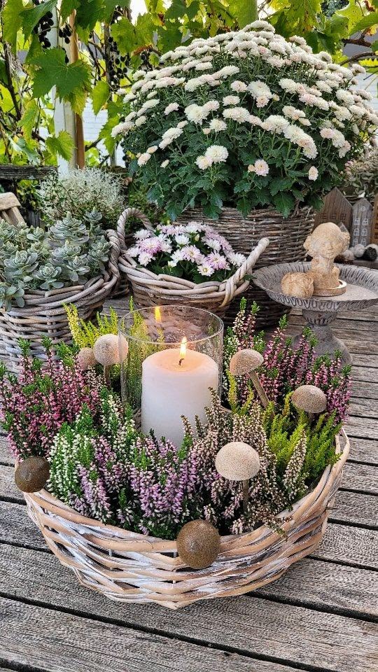 🌸Maronen im Heidekranz🌸
Heute darf wieder etwas genascht wer