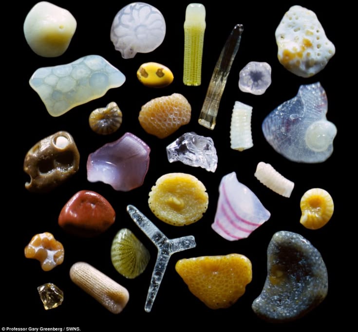 Believe it or not, this is ordinary SAND, magnified 250 time