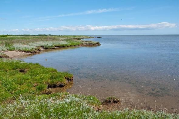 Camping Nature Ferie