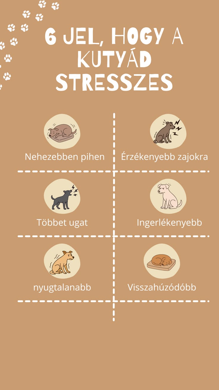 A lihegés, a fokozott zajérzékenység, a nyugtalanság vagy a 