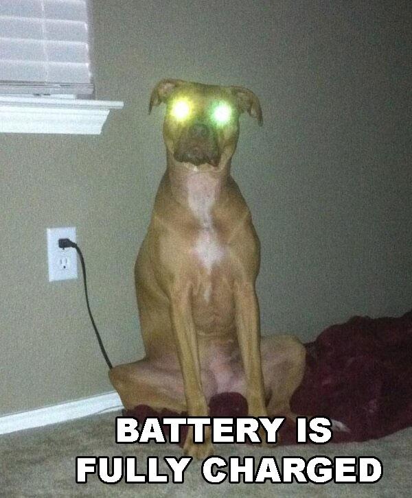 fully charged