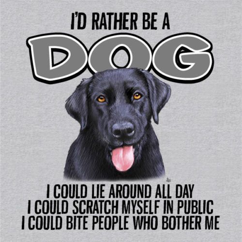 Dog T-shirt Rather Be Cotton Gray NWT Pet Sizes S M L XL 2XL