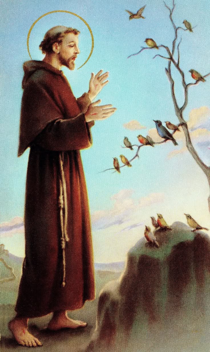 4 oktober: Werelddierendag vieren we dankzij Franciscus van 