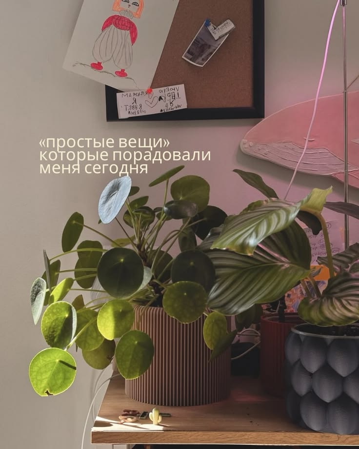 Как заядлый тревожник, выбираю радоваться простым вещам. 🏠✨
