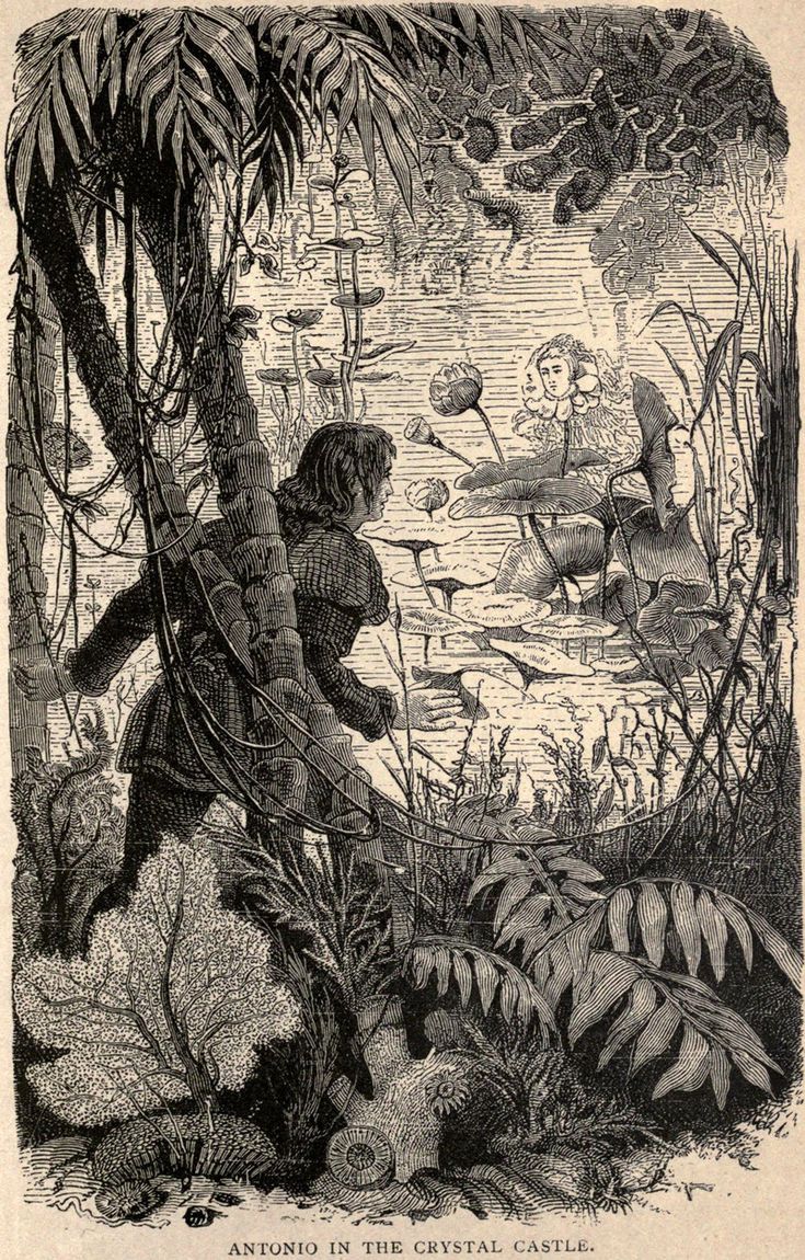 Abecedarian : posts tagged fairy tale1877.