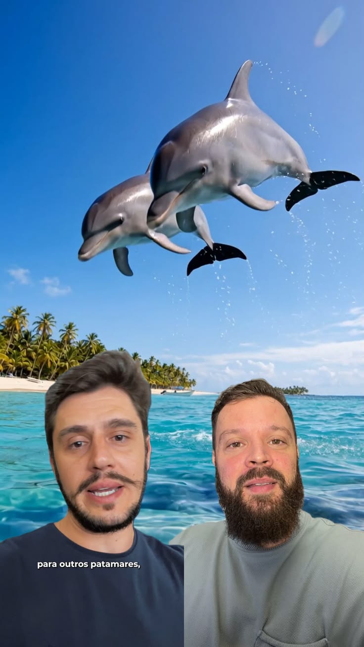FATURAMENTO EM DOLAR$