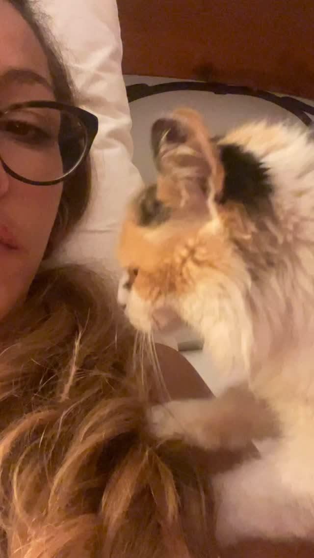 💆‍♀️ Sessão de fisioterapia felina: nível expert ⭐️
A minha 