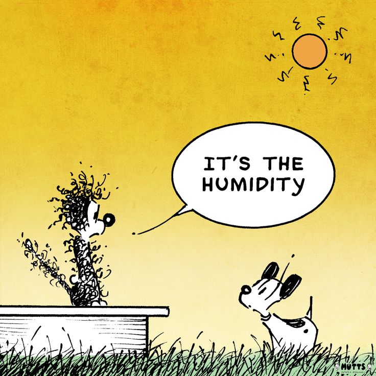 We hope the first week of summer has been treating you well!